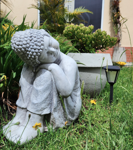 Centro de Bienestar Integral